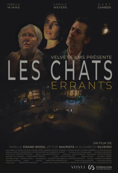 Les Chats Errants